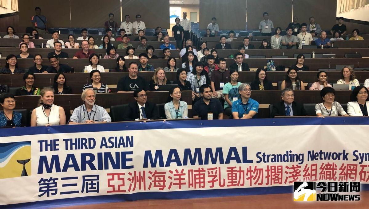 ▲海洋委員會國家海洋研究院舉辦亞洲海洋哺乳動物擱淺組織網國際研討會。(圖／記者黃守作攝，2019.09.05)