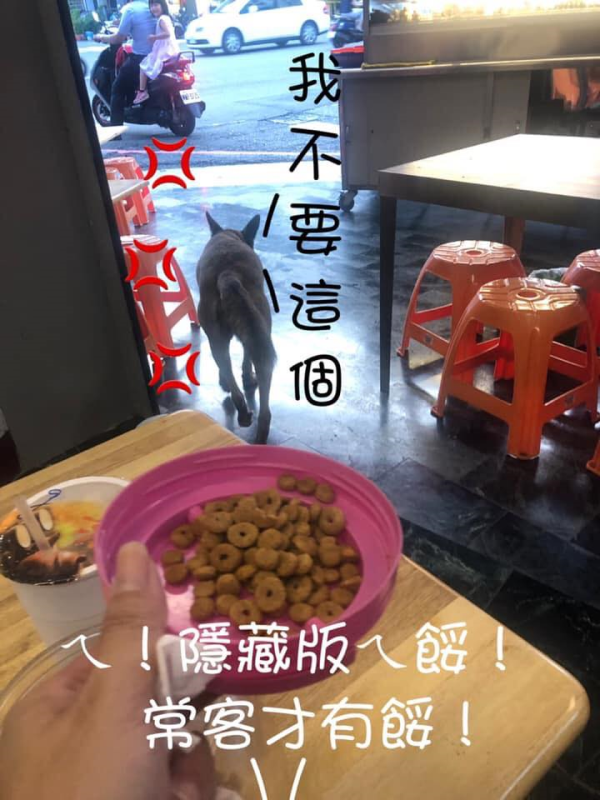 常客難伺候!店休沒通知狗狗氣噗噗 只好拿雞翅賠罪!