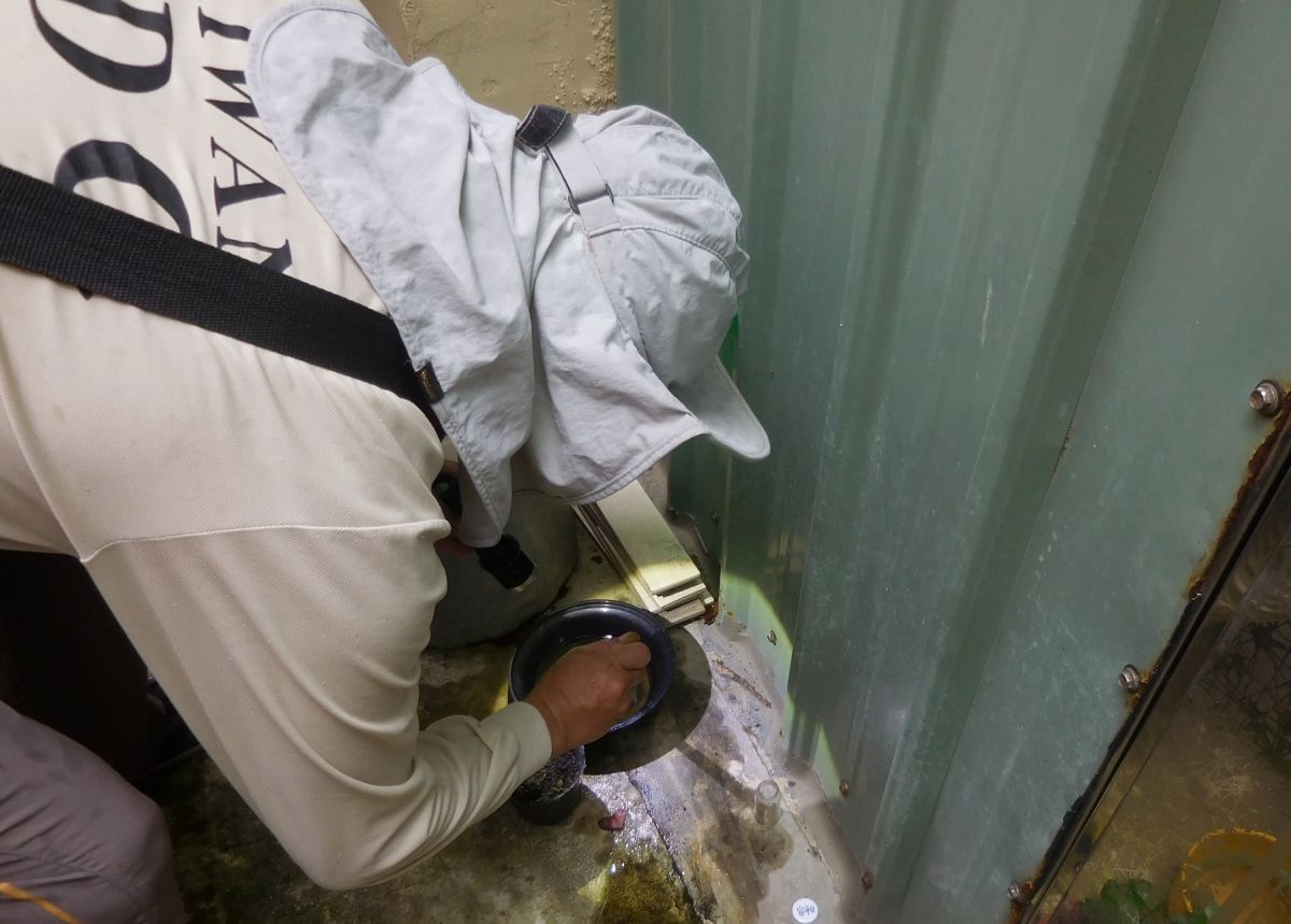  ▲防疫人員於台南市安南區執行孳生源查核。（圖／疾管署提供）