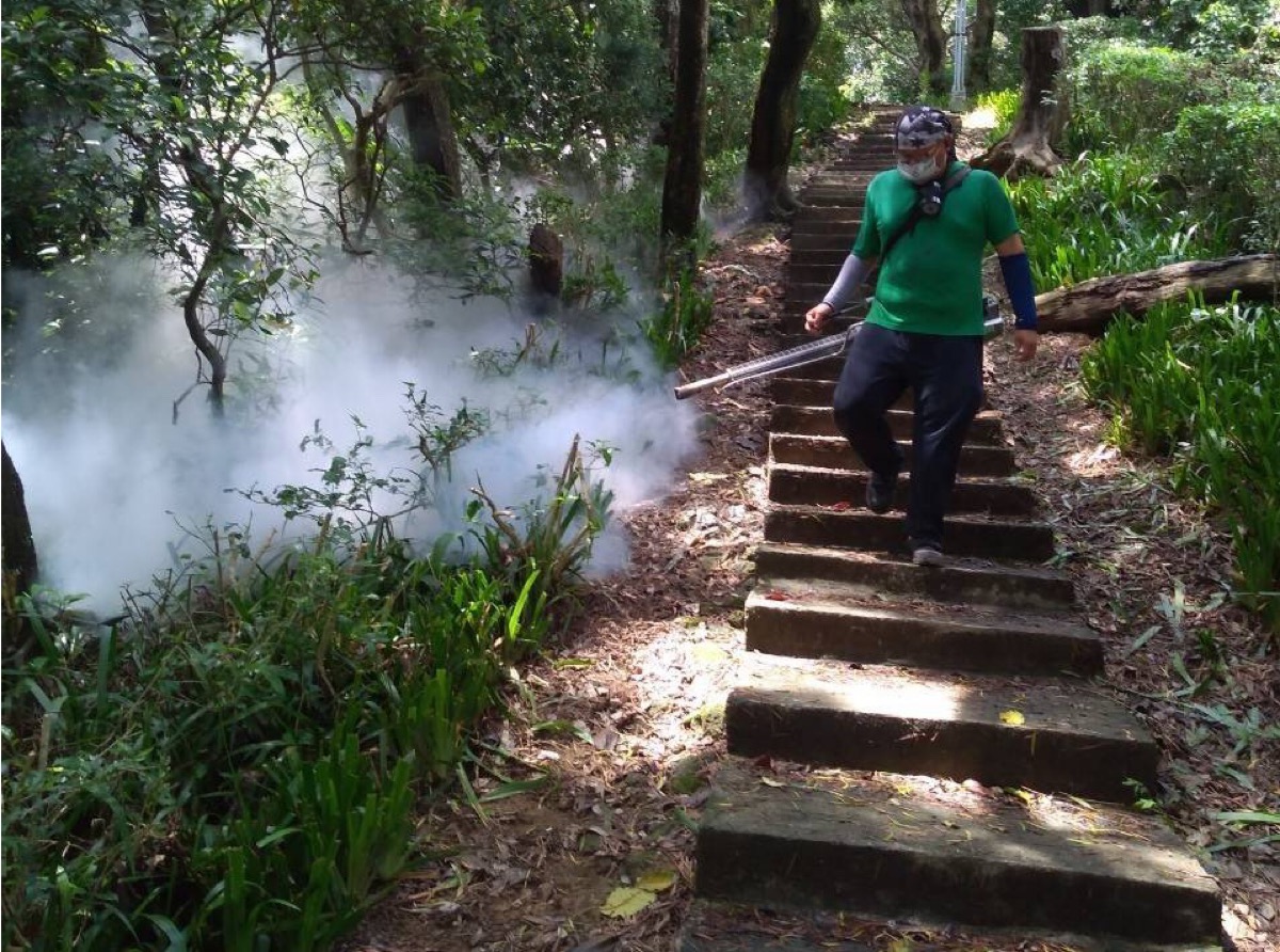 ▲今（6）日疾管署公布，國內出現首例境外移入屈公病個案，是本國籍70多歲男性，具有東南亞旅遊史。（示意圖／新北市政府提供）