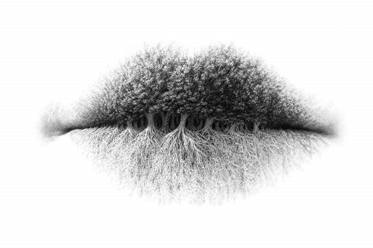 ▲這張圖你第一眼看覺得是何物？（圖／翻攝 mirror ）