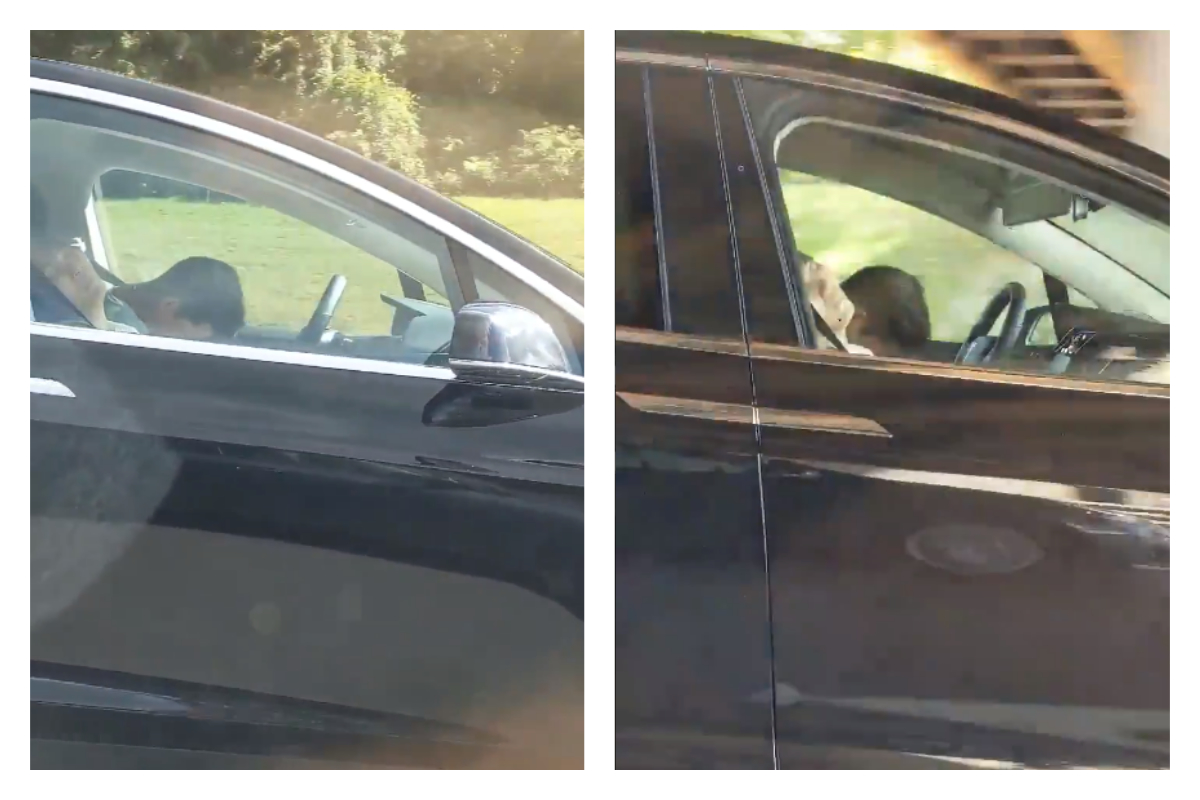 ▲男子驚見鄰車開啟自動輔助駕駛，一行人竟然倒頭呼呼大睡。（合成圖／翻攝自 @DakRandall 推特）