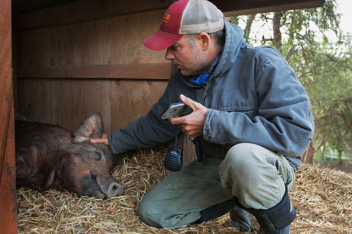 ▲《我家有個開心農場》劇照（圖／佳映娛樂）