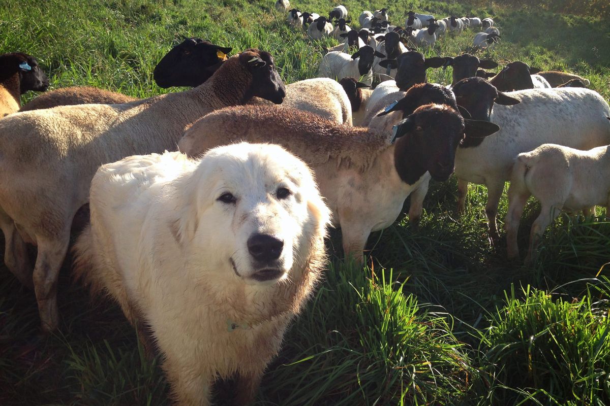 ▲《我家有個開心農場》劇照（圖／佳映娛樂）