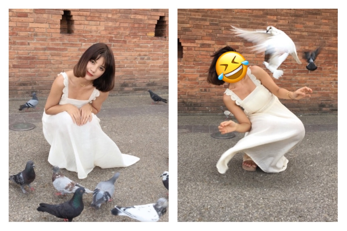 ▲許多漂亮的女孩總是喜歡也希望在外出的時候，能夠拍出許多漂亮的網美照，姿勢調了又調，無非就是想將最美的自己呈現在照片中。（圖／翻攝自推特）