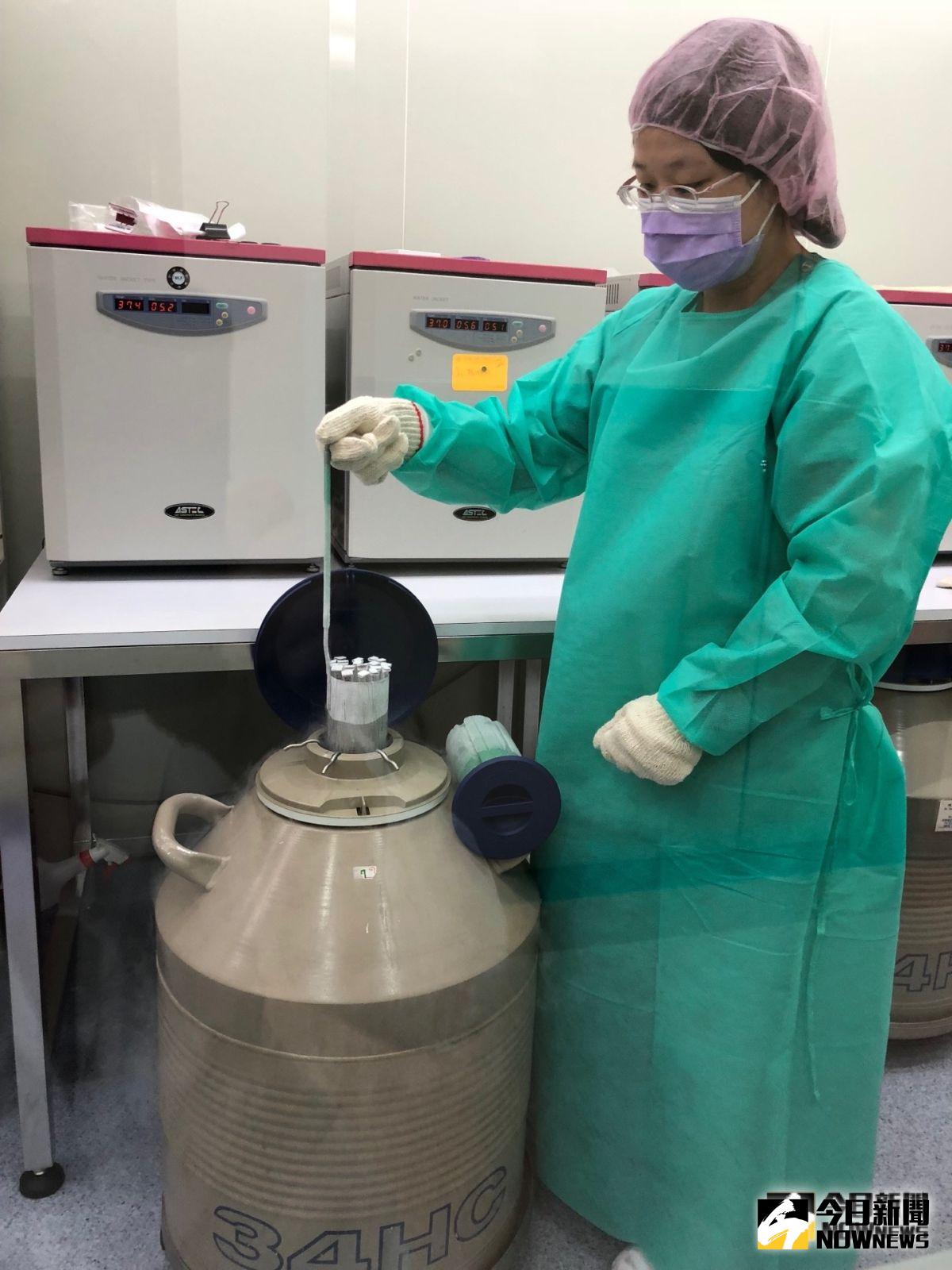 ▲婦女在接受化療期間是很難受孕，可透過胚胎冷凍或卵子冷凍未來採生殖醫學助孕。（圖／記者陳雅芳攝，2019.09.11）