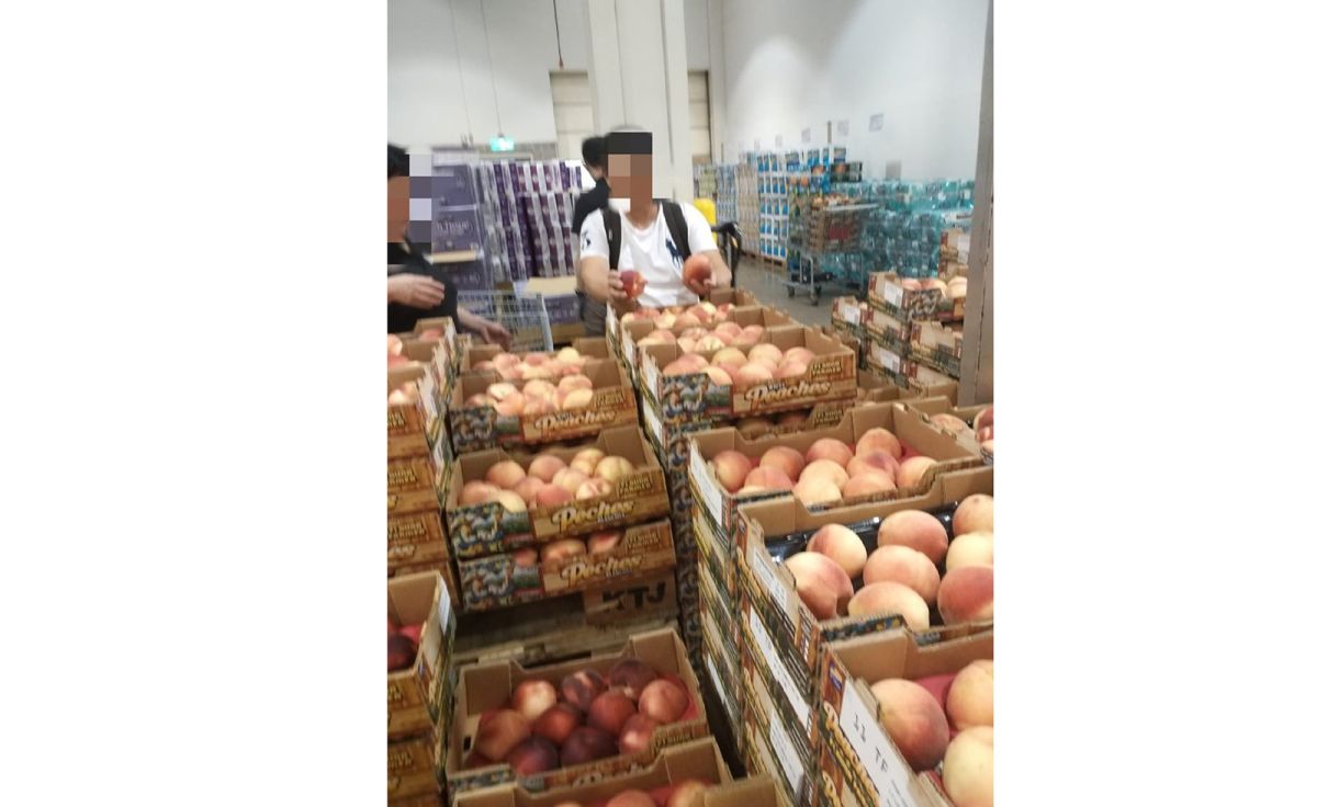 ▲這名「挑桃大叔」在南崁好市多賣場購買成箱的水蜜桃，卻挑三揀四將各箱的「較優」水蜜桃集大成放一箱。（圖／翻攝「Costco好市多商品經驗老實說」）