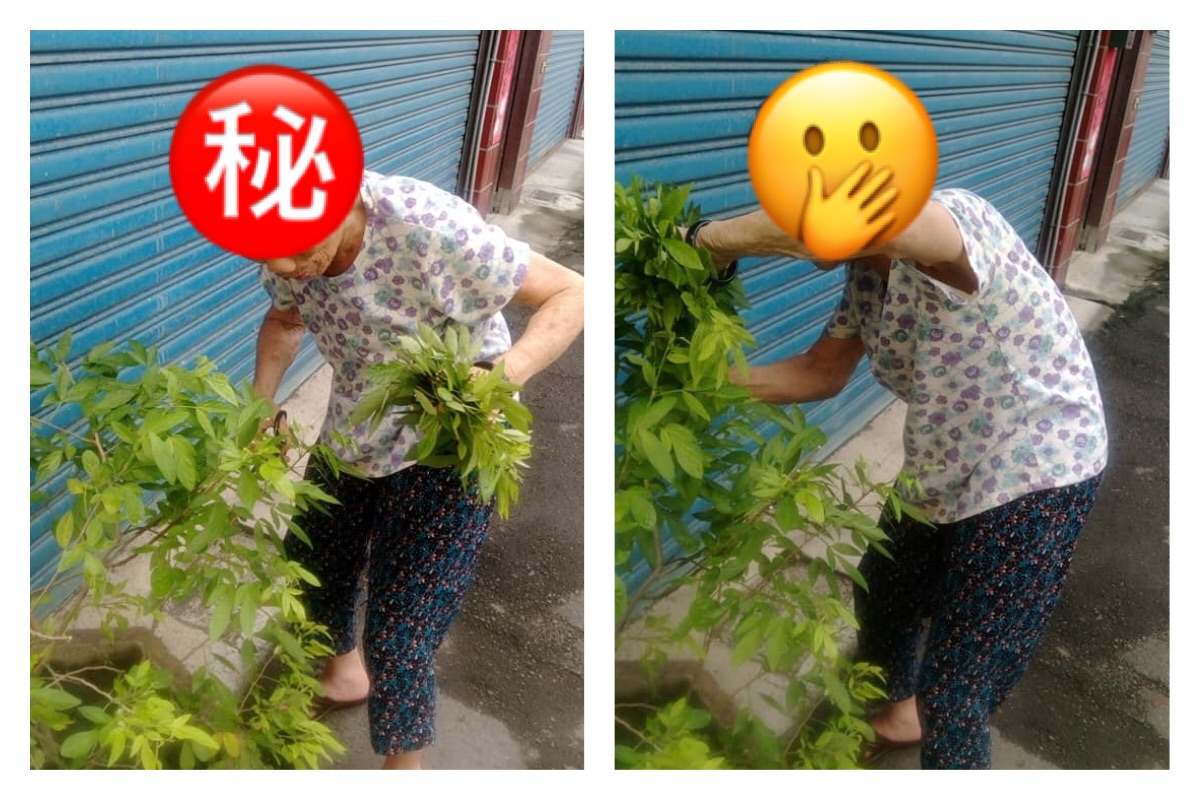 ▲人們總上了年紀是會滿頭白髮，這是很正常的現象，通常為了美觀，大部分的人會用黑色的頭髮染劑將頭髮染回黑色，看起來比較有精神，但若到了當阿嬤的年紀，頭髮不用靠染的還是全黑，是不是非常驚奇？（圖／翻攝自《爆廢公社》）