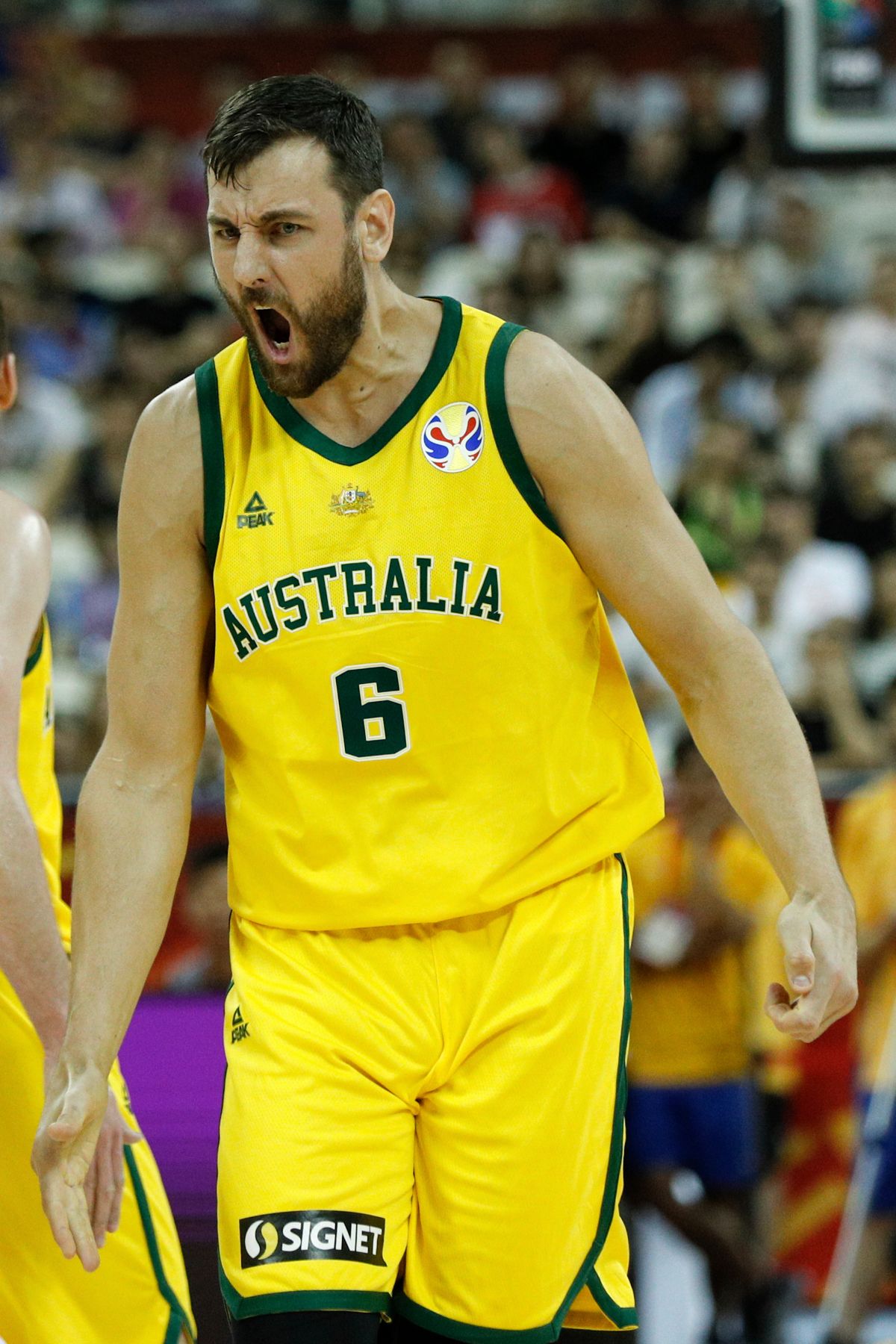 ▲澳洲中鋒Andrew Bogut（圖／美聯社／達志影像）