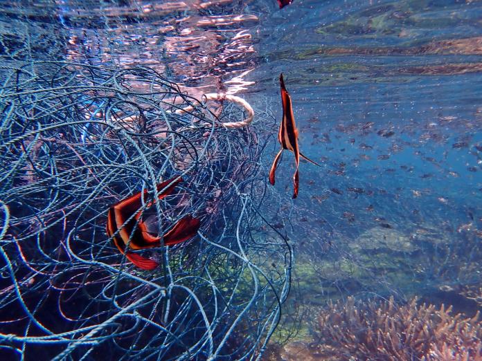 ▲澎湖的南方四島國家公園擁有世界級的珊瑚礁美景，無奈在東吉薰衣草森林海域，一大坨廢棄魚網卡在珊瑚礁林上面。（圖／生態達人陳宏合提供，2019.09.17）