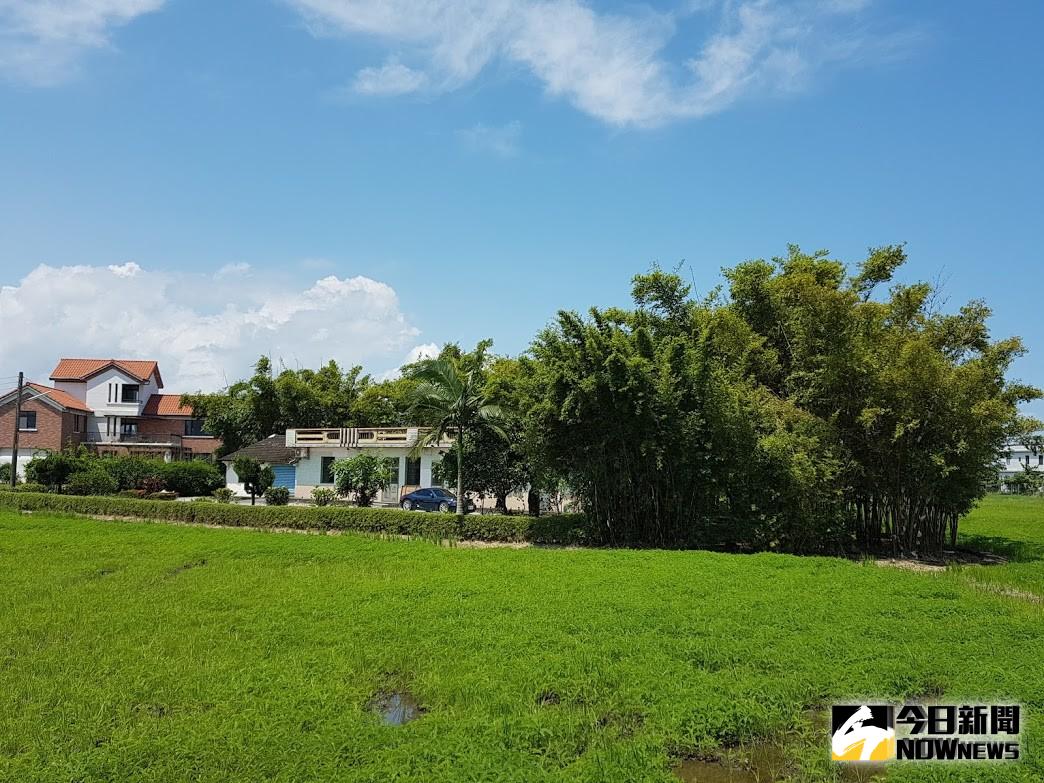 ▲今(108)年度地價稅將於11月1日開徵，繳納期限至11月30日止；納稅義務人如欲申請地價稅減免或適用特別稅率，應於開徵前40日，也就是9月23日前提出申請，逾期申請者，自申請次年開始適用。（圖／記者李清貴攝,資料照)