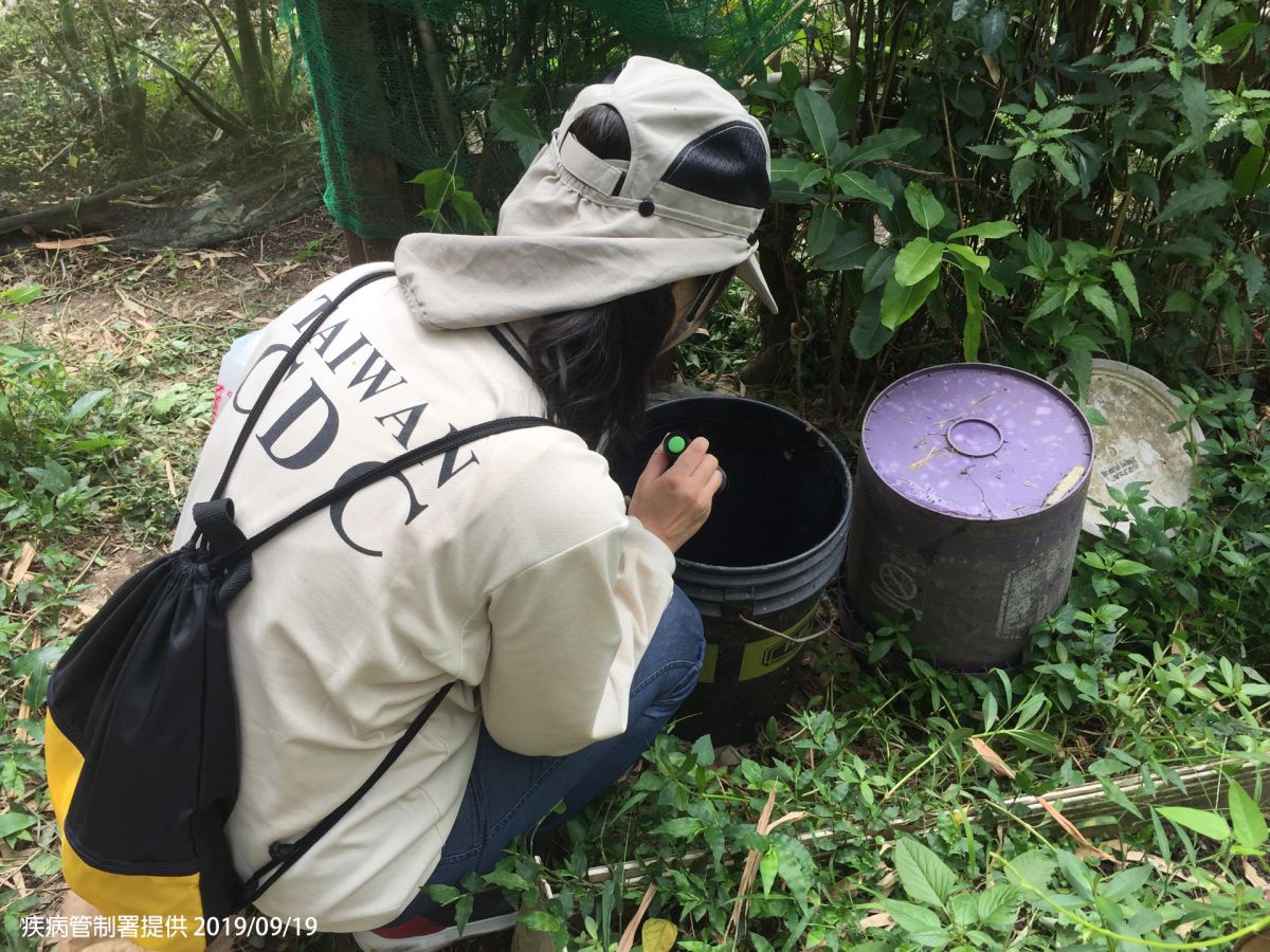 ▲疾管署防疫人員於新北市中和區進行孳生源查核。（圖／疾管署提供）