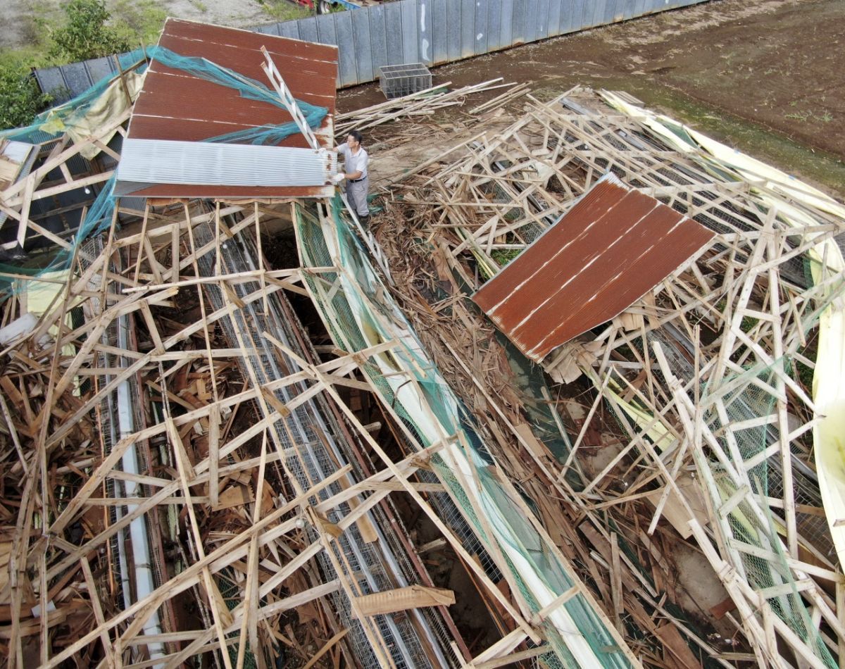 ▲日本近日接連遭受颱風襲擊，圖為日前法西颱風襲擊千葉縣四街道市的資料照。（圖／美聯社／達志影像）
