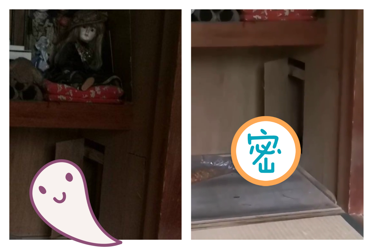 ▲阿嬤的 50 年老厝傳出腳步聲，打開一看發現 4 隻「兇手」。（合成圖／翻攝自 @handai05_nkym 推特）