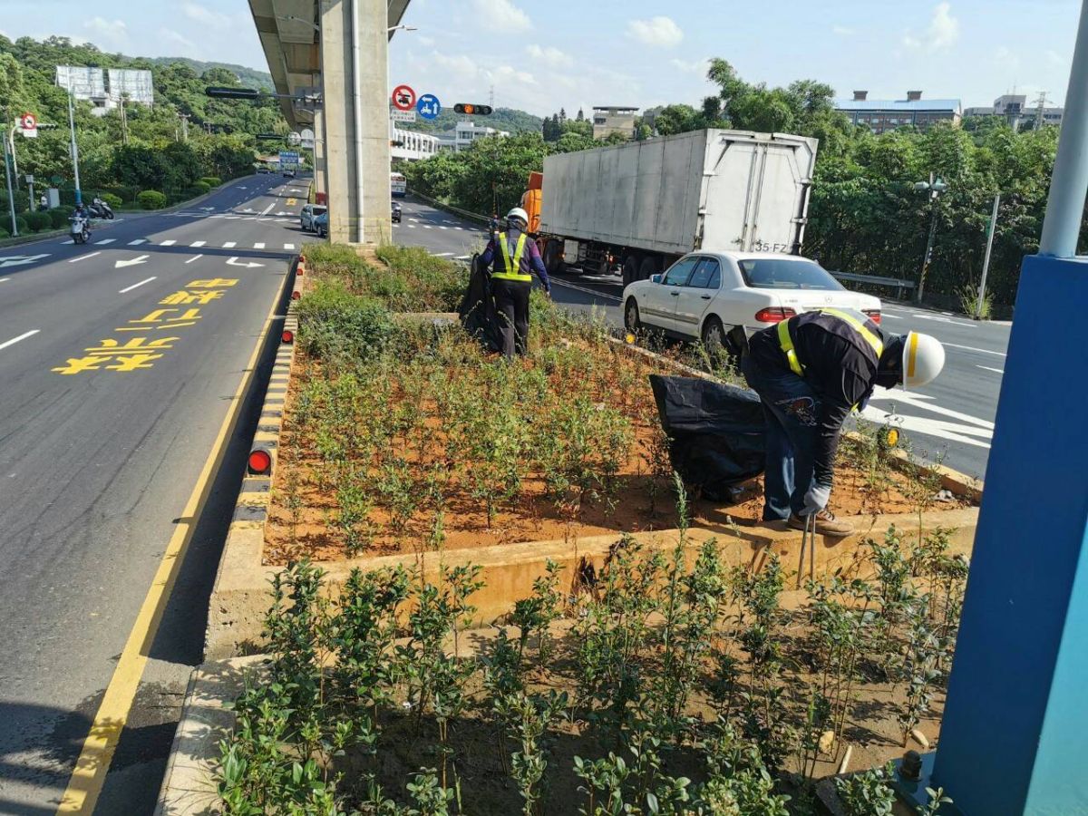 ▲新北市議員陳偉杰在臉書PO文指出，近期有民眾反應從淡海輕軌紅樹林站到新市一路等站，沿線下方的分隔島內都是垃圾。（圖/市議員陳偉杰提供）