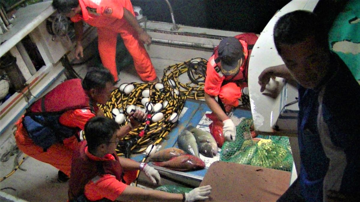 ▲澎湖取締違法捕魚建功，查緝小組當場扣押高級魚種漁獲30公斤、空氣軟管80公尺、魚叉2支。（圖／澎湖海巡隊提供，2019.09.26）