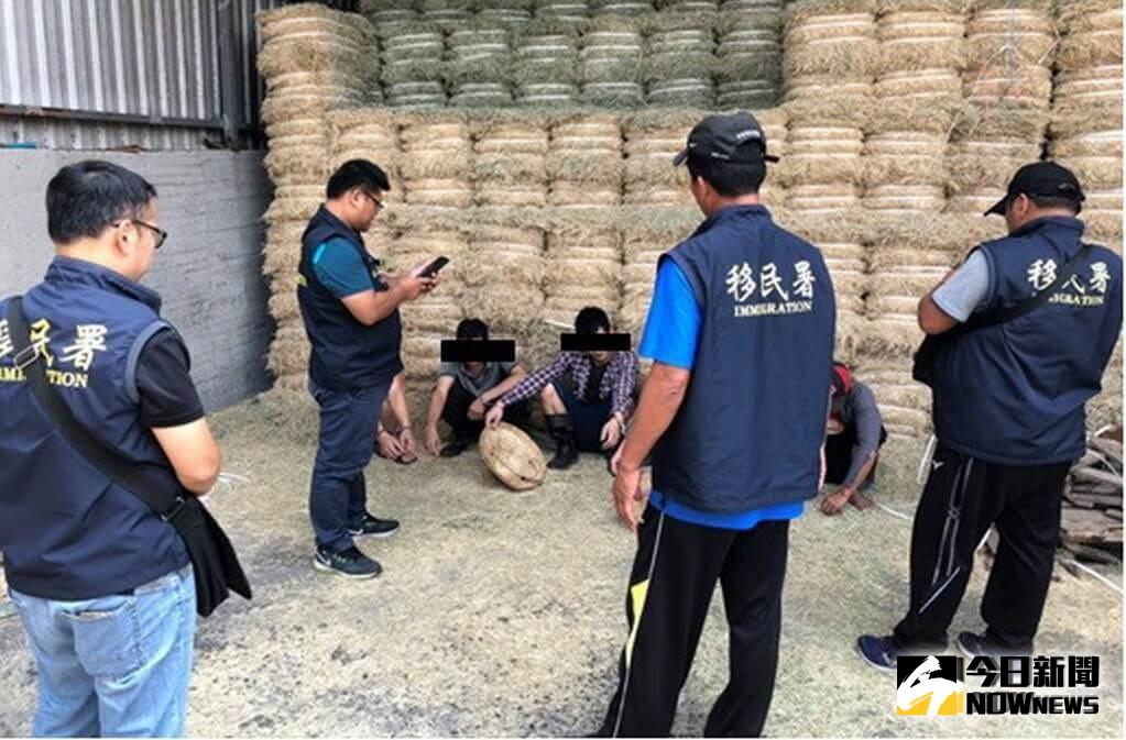▲移民署南區事務大隊屏東縣專勤隊查獲失聯移工。(圖／記者黃守作攝，2019.09.26)