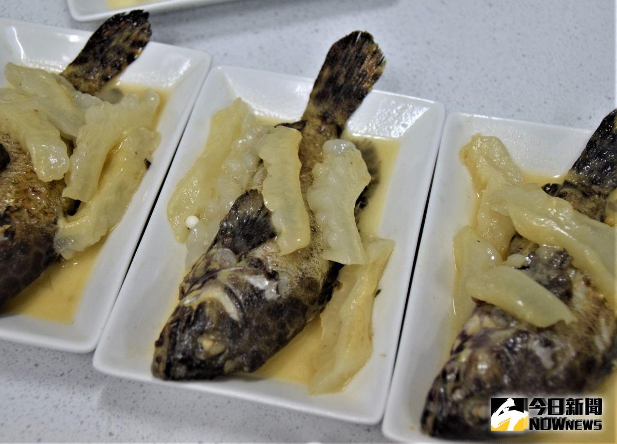 ▲玳瑁石斑為澎湖縣魚，祥哥會用一斤6尾大小來做料理，烹煮後流出濃郁的湯汁美味，可讓饕客連盤子一起舔了。（圖／記者張塵攝，2019.09.28）
