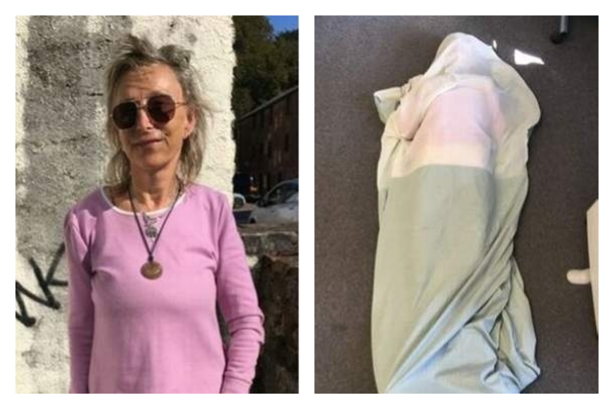 ▲一名英國婦人憂心電磁波及 WiFi 對自己的影響，掏萬元訂製「防護罩」。（合成圖／翻攝自 Dartmouth Chronicle ）