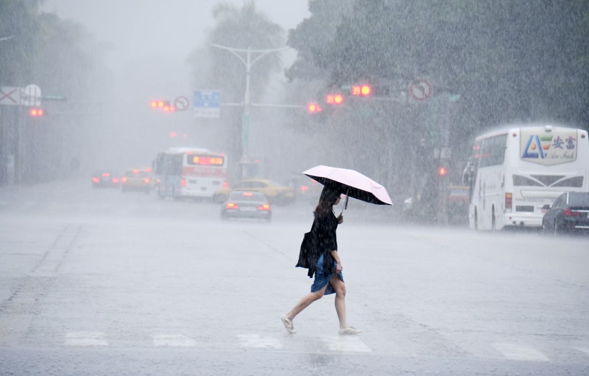 Ютуб дождь прямая. 水 – вода 日 – солнце 木 – дерево 雨 – дождь.