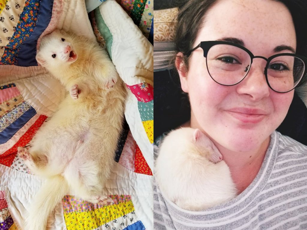 當弗格斯感受到謝爾比需要關心時，牠會自己上前擁抱馬麻，讓她感受到滿滿的愛。 (圖/IG@fergustheferret) 