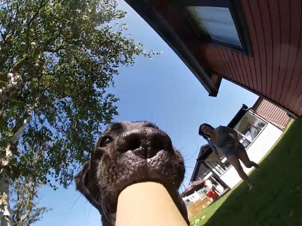 馬麻尼好慢，等尼很久了耶～還沒拍完啦～再讓偶跑一會兒～ (圖/Youtube@Storyful Rights Management) 