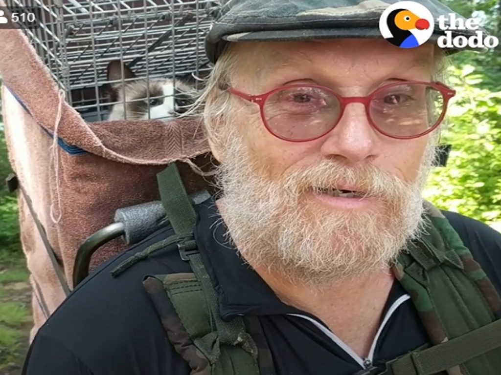 Elgee：這位杯杯你要帶本喵去哪裡？（圖／翻攝自@The Dodo）