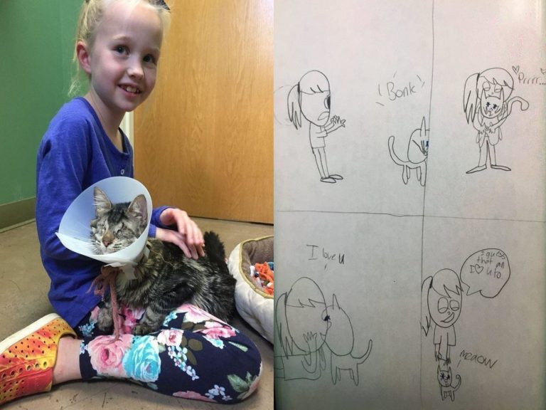 8歲的布莉塔以畫畫告訴家人她將如何照顧盲眼的Justice（圖／My Cat eye）