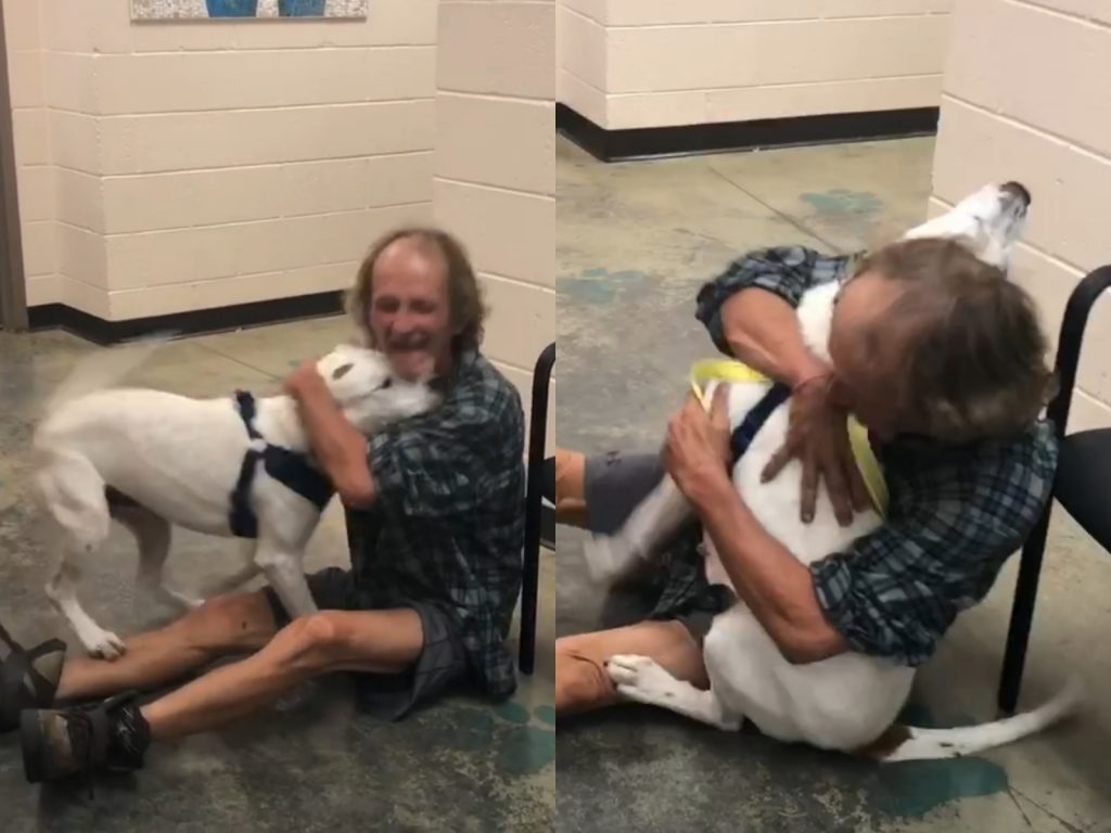 即使羅傑斯奮力將牠一抱也馬上被掙脫，波波只想好好和主人說說：「我真的很想很想你！」(圖/Facebook@Memphis Animal Services) 