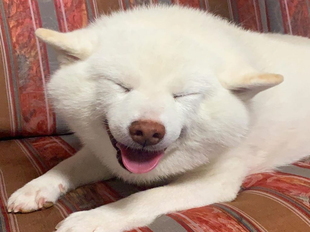 Nana的甜美笑容融化許多人的心！（圖／IG@hanarin54）