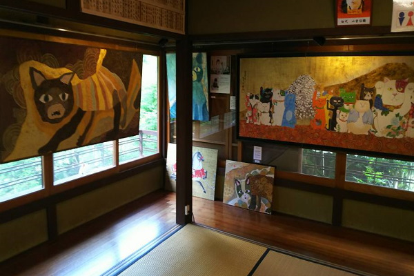 京都貓寺主題餐廳享造型餐點　還有貓住持陪坐指點迷津！
