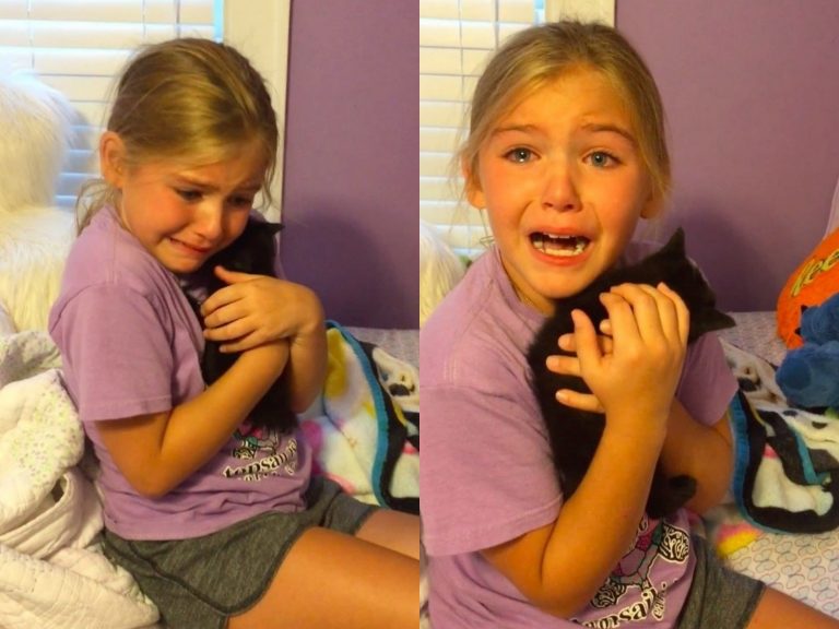 女孩失去愛貓傷心不已　媽送小貓讓她秒飆淚！
