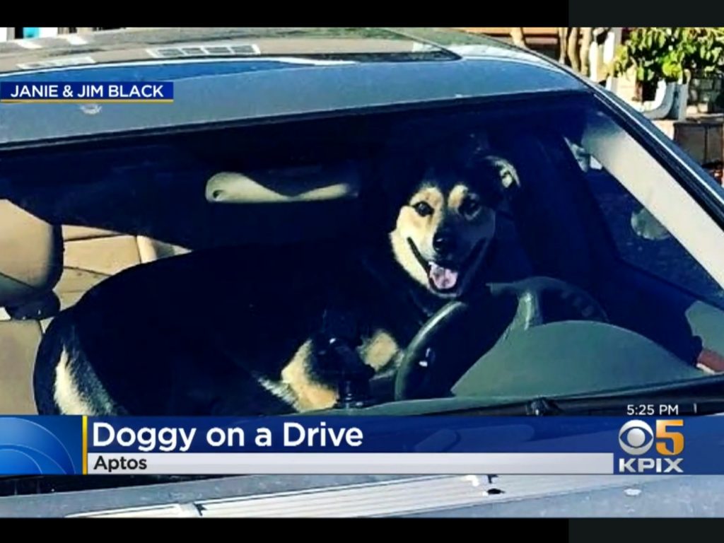 幸好並無任何人員傷亡，駕駛杜克則是滿臉燦笑，整個失速駕駛的狀況被目擊者給拍下。(圖/Twitter@KatieKPIX) 