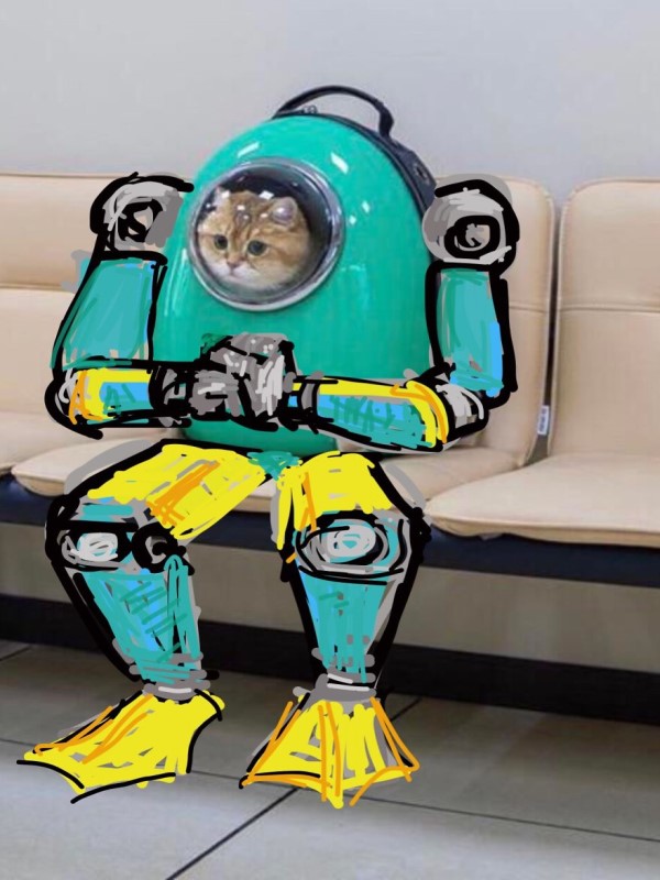 網紅貓被裝在太空包　竟釣出PS大神製作歪圖太有趣！