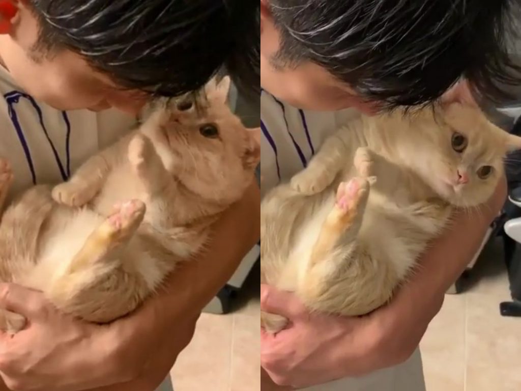 把拔不要啦，旁邊很多人在看（羞）。 (圖/IG@myuuuuchan_1116) 