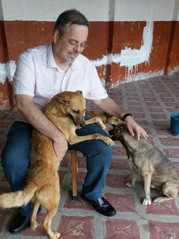 巴西牧師帶流浪狗上教堂做彌撒　傳遞正能量也幫牠們找新家