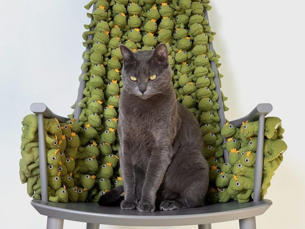 藍貓擁有蛙蛙們的愛戴，成為青蛙軍團霸氣首腦（圖／IG@mochikittyfrog）