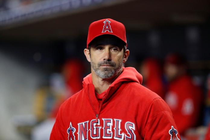 MLB／戰績太爛天使炒了總教練　梅登將接任大谷新教頭？
