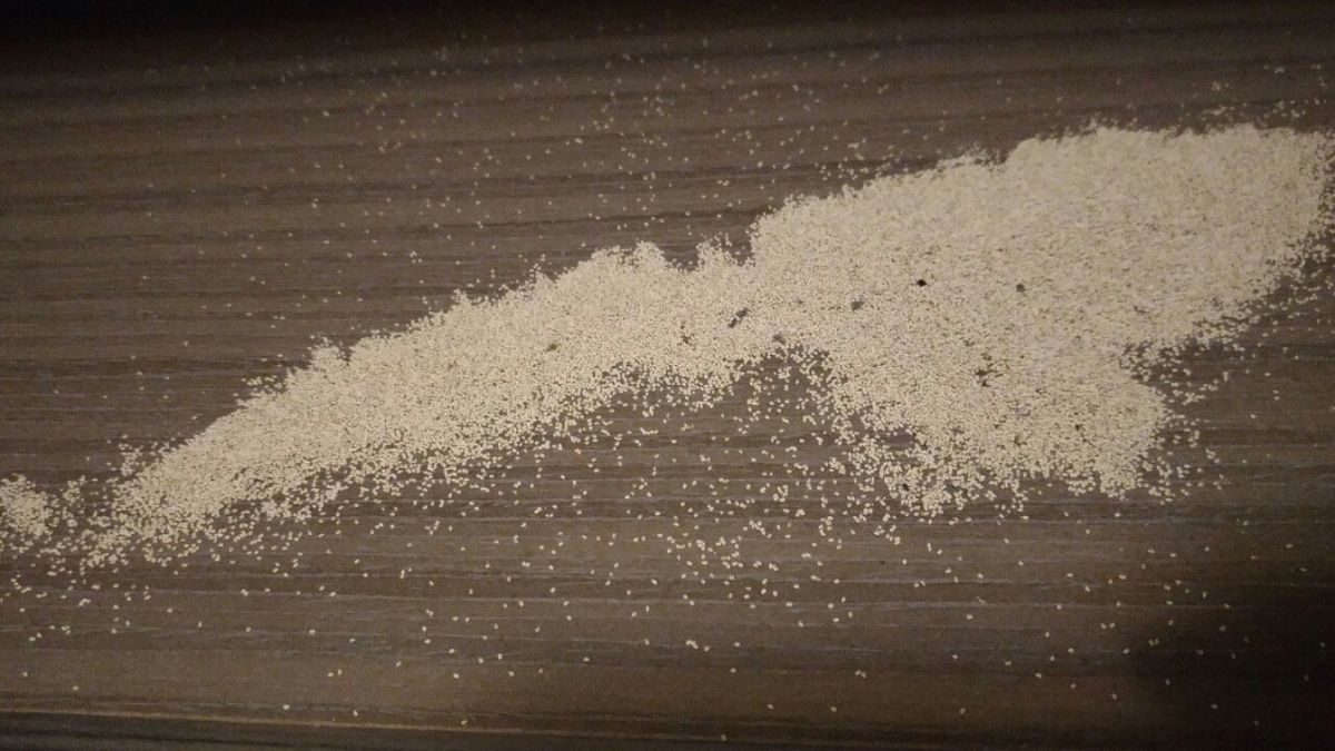 ▲一名網友發現衣櫃內有大量「白芝麻」，趕緊發文求問這是什麼？（圖／翻攝自 PTT ）