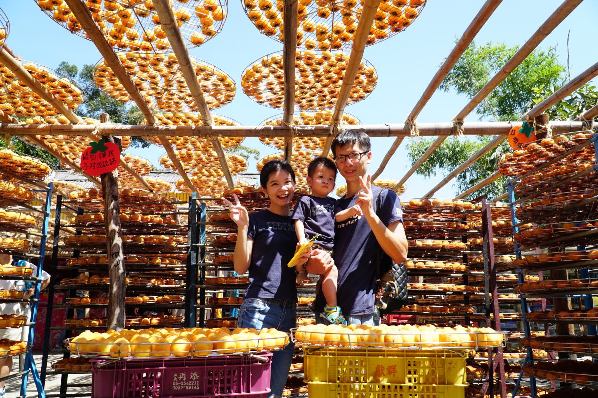 ▲又到了九降風吹起的日子，一片黃澄澄的柿子曬在架上，歡迎遊客蒞臨新埔柿餅節。（圖／新竹縣政府提供）
