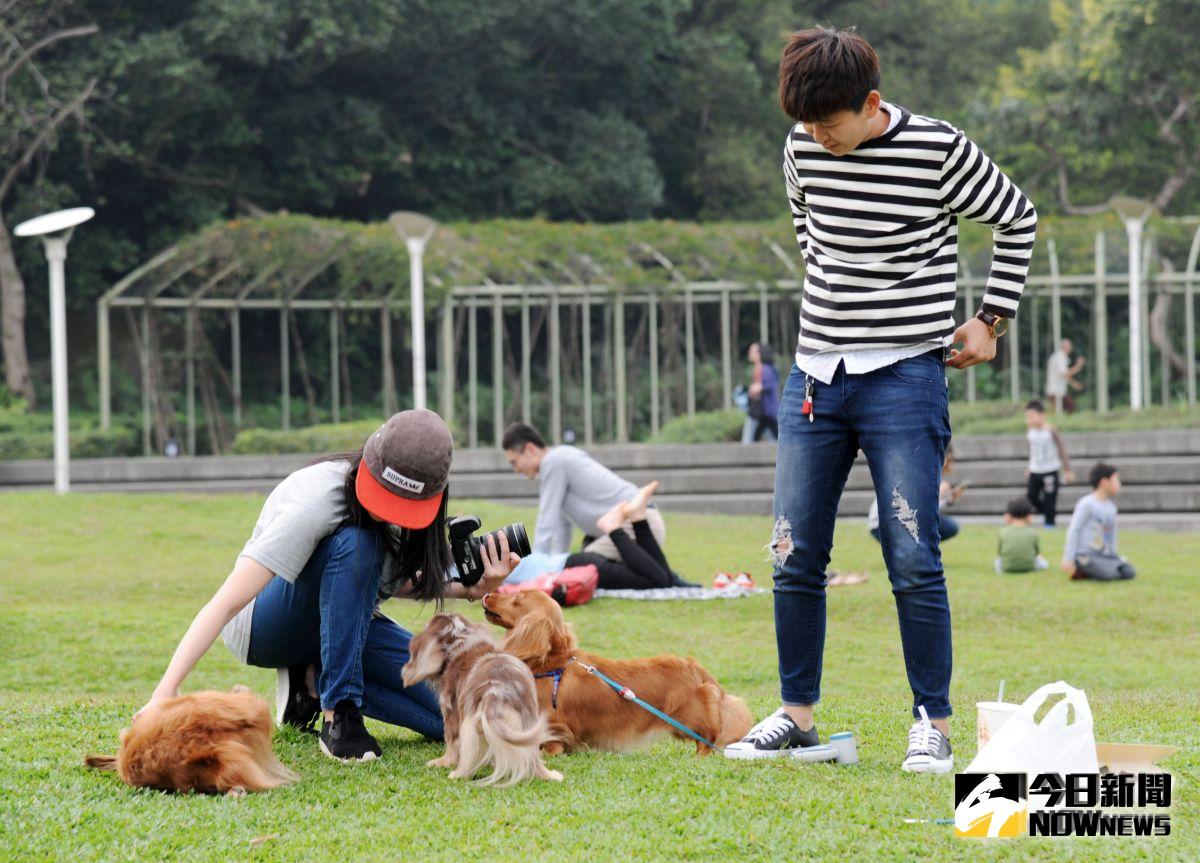 ▲今（ 4 ）日各地仍為多雲到晴的天氣，僅東半部地區、午後中部以北山區及嘉義以南地區有局部短暫雷陣雨。（圖／NOWnews資料圖片）