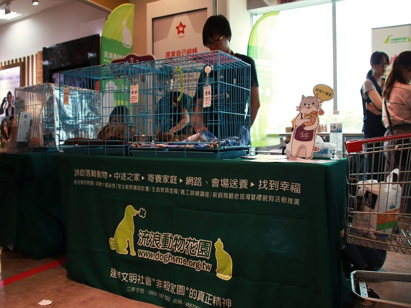 正在舉辦認養會的流浪動物花園協會（圖／鄭暐儒拍攝）