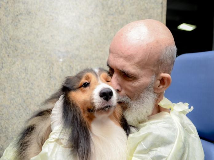 巴西醫院破例讓罹癌病患與愛犬相見！（圖／FB@Hospital Memorial São José）
