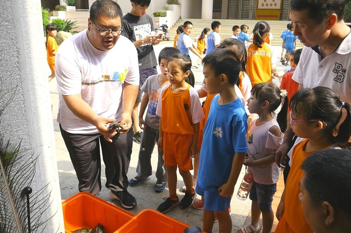 ▲在金門畜試所同仁的解說下，小朋友與小烏龜有了近距離的接觸。（圖／蔡若喬攝, 2019.10.04）