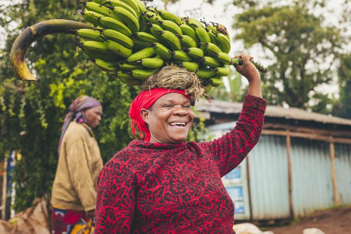 小農福祉　用免費人工智慧app判別香蕉病變種類

