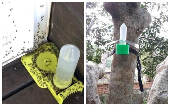 ▲左為居家型琉璃蟻液態餌站。右為樹上杯型液態餌站。（圖／農委會提供）
