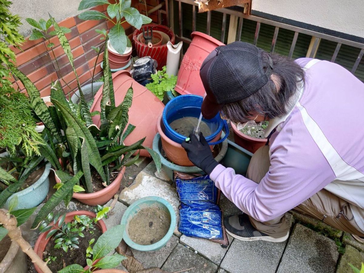 ▲防疫人員進行病媒蚊監測。（圖／登革熱防治中心）