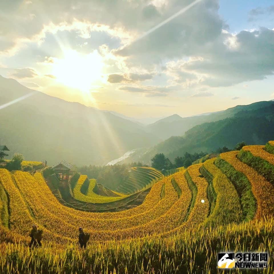 （圖／翻攝自臉書）