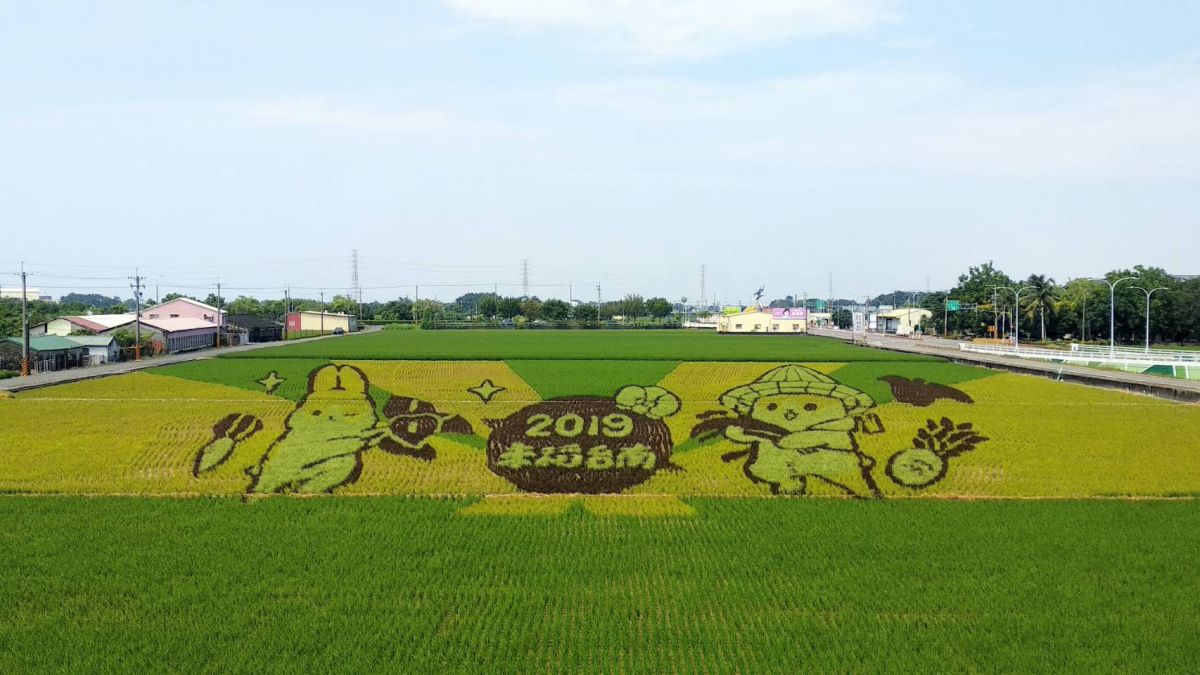 ▲「ㄇㄚˊ幾兔」稻田彩繪藝術地景。（圖／記者陳聖璋翻攝）