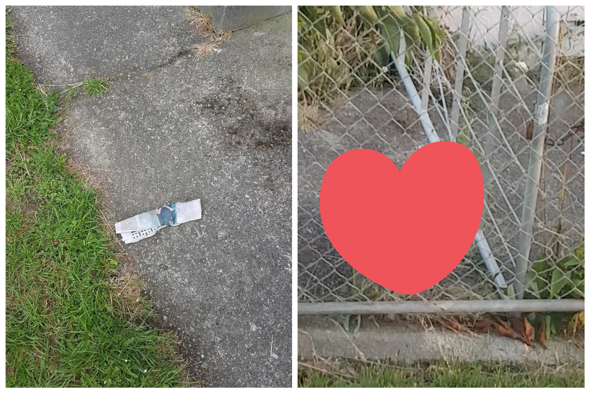 ▲紐西蘭一戶家庭 1 年多以來一直以來都收到免費報紙，直到某天小兒子目擊，才讓派送員的身分曝光。（合成圖／翻攝自 The Dodo 、 Jade Jefferies 臉書 ）